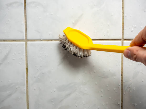 Best Emergency Mold Remediation in Parkway, CA