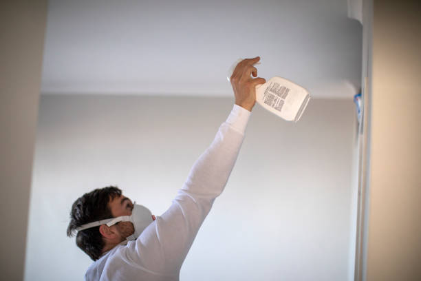 Best HVAC Mold Remediation in Parkway, CA